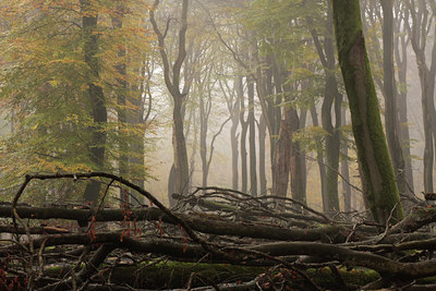 BUITEN BEELD Foto: 82780