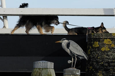 BUITEN BEELD Foto: 82806