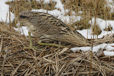 BUITEN BEELD Foto: 82811