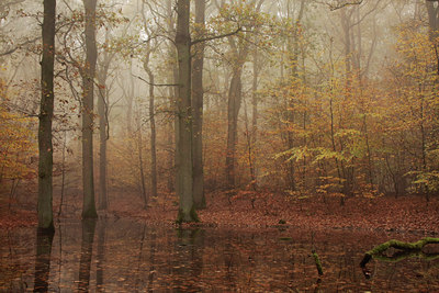 BUITEN BEELD Foto: 82836