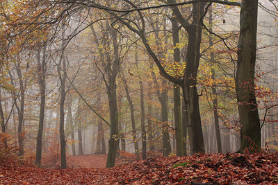 BUITEN BEELD Foto: 82839