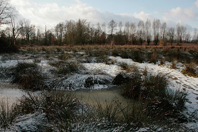 BUITEN BEELD Foto: 82841