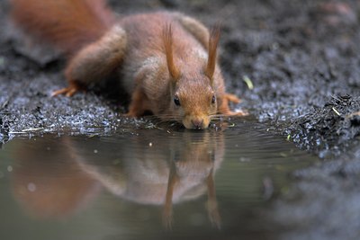 BUITEN BEELD Foto: 82852