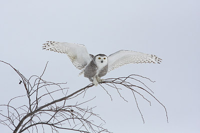 BUITEN BEELD Foto: 82898