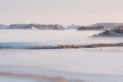 BUITEN BEELD Foto: 82965