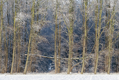 BUITEN BEELD Foto: 82978