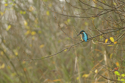 BUITEN BEELD Foto: 83029