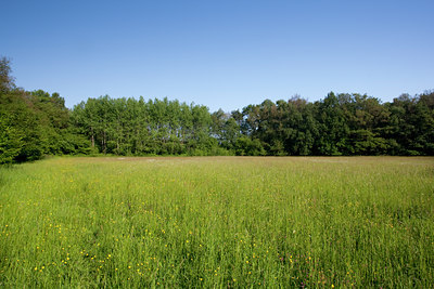 BUITEN BEELD Foto: 83033