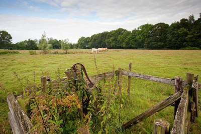 BUITEN BEELD Foto: 83039