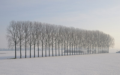 BUITEN BEELD Foto: 83064
