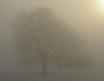BUITEN BEELD Foto: 83070