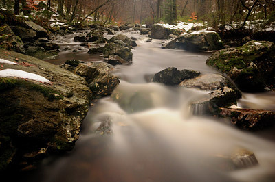 BUITEN BEELD Foto: 83071