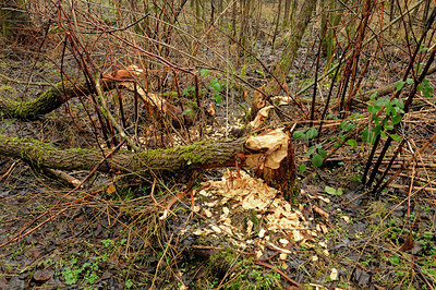 BUITEN BEELD Foto: 83084