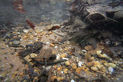 BUITEN BEELD Foto: 83135