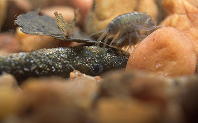 BUITEN BEELD Foto: 83139