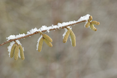 BUITEN BEELD Foto: 83151