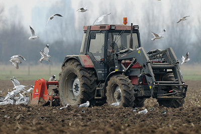 BUITEN BEELD Foto: 83154