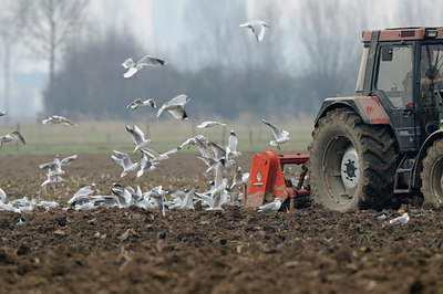 BUITEN BEELD Foto: 83155