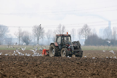 BUITEN BEELD Foto: 83159