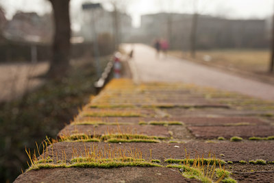 BUITEN BEELD Foto: 83201