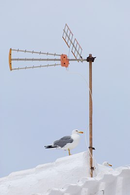 BUITEN BEELD Foto: 83239