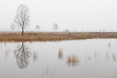 BUITEN BEELD Foto: 83261