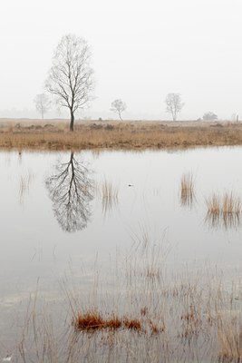 BUITEN BEELD Foto: 83263