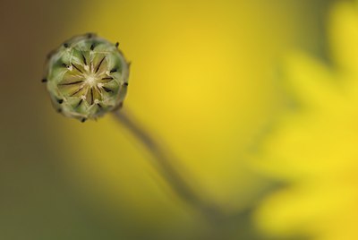 BUITEN BEELD Foto: 83453