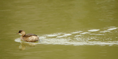 BUITEN BEELD Foto: 83537