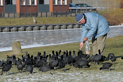 BUITEN BEELD Foto: 83703