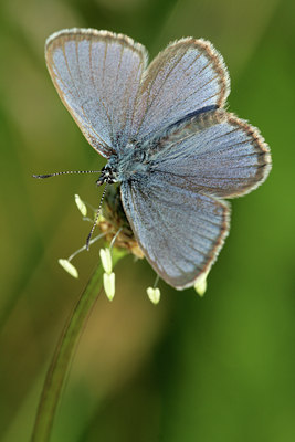 BUITEN BEELD Foto: 83716