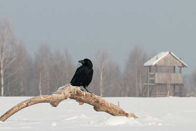 BUITEN BEELD Foto: 83731