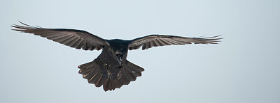BUITEN BEELD Foto: 83736