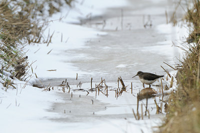 BUITEN BEELD Foto: 83749