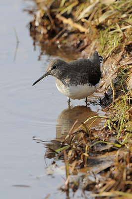 BUITEN BEELD Foto: 83758