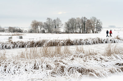BUITEN BEELD Foto: 83784