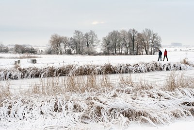 BUITEN BEELD Foto: 83785