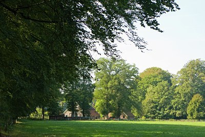 BUITEN BEELD Foto: 83795