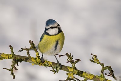 BUITEN BEELD Foto: 83810