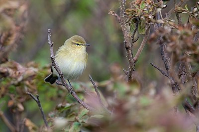 BUITEN BEELD Foto: 83817