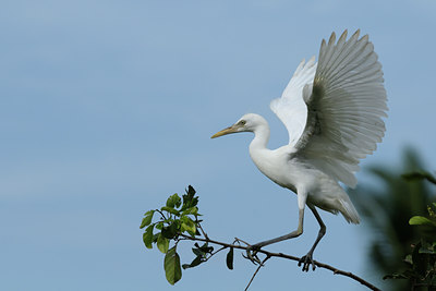 BUITEN BEELD Foto: 83830