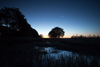 BUITEN BEELD Foto: 83835
