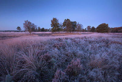 BUITEN BEELD Foto: 83836