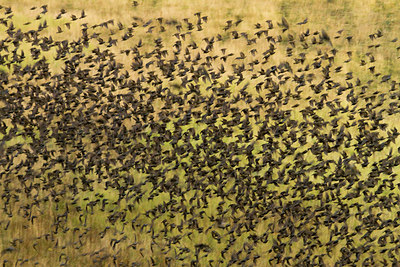 BUITEN BEELD Foto: 83843