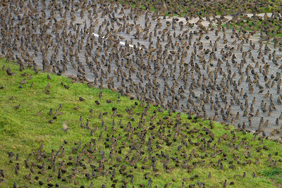 BUITEN BEELD Foto: 83844