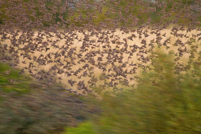 BUITEN BEELD Foto: 83848