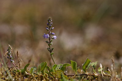 BUITEN BEELD Foto: 83865