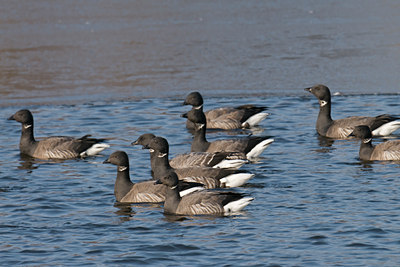 BUITEN BEELD Foto: 83892