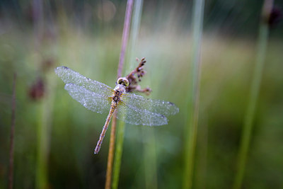 BUITEN BEELD Foto: 83902