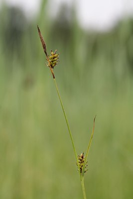 BUITEN BEELD Foto: 84013